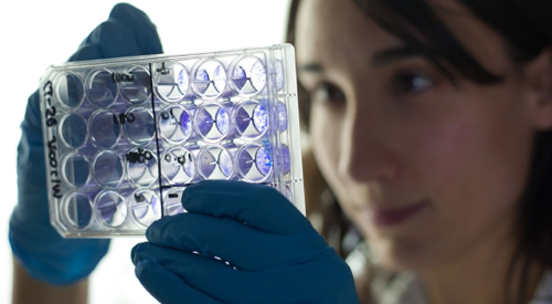 modelo-preclinico-ensayo-inmunoterapia Investigación en la Clínica Universidad de Navarra