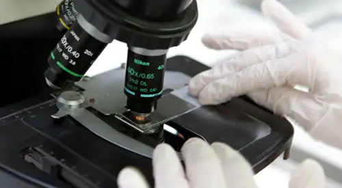 Imagen Laboratorio de Bioquimica Imagen Laboratorio de Bioquimica