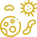 Icono dorado bacterias Icono dorado de bacterias y microbios