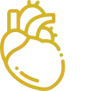 Icono dorado corazón Icono dorado de un corazón y los vasos sanguíneos principales, órgano del sistema cardiovascular.