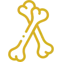 Icono dorado huesos Icono dorado de dos huesos largos