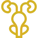 Icono dorado próstata Icono dorado de la próstata y sistema urinario del hombre