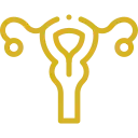 Icono dorado útero