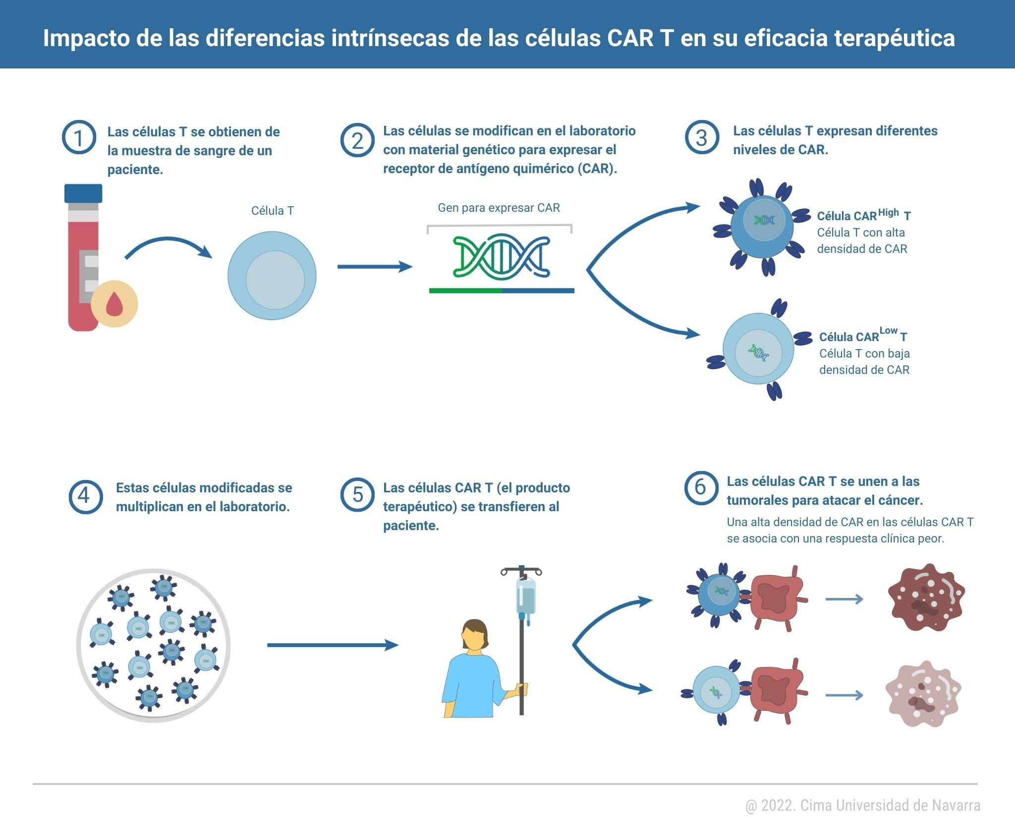 infografia-eficacia-cart