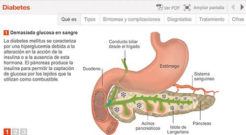 img-animacion-diabetes-mellitus
