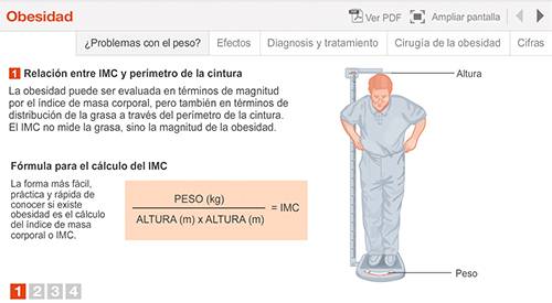 img-animacion-obesidad
