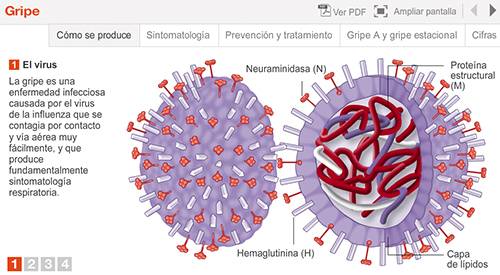 img-animacion-gripe-a