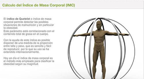 img-preview-calculo-imc