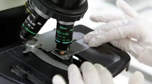 Imagen Laboratorio de Bioquimica Imagen Laboratorio de Bioquimica