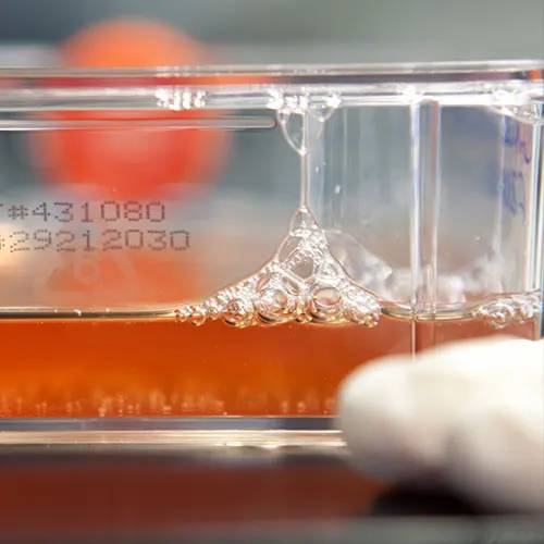 img-destacado-terapias-avanzadas