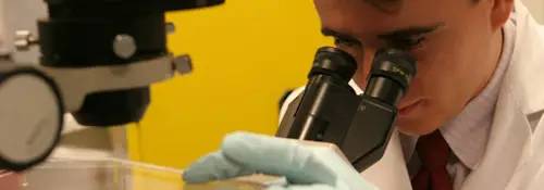 Imagen médico investigando con microscopio