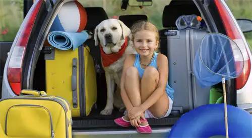 Maletero de coche con maletas, niña, perro preparado para ir de vacaciones Imagen de maletero de coche con maletas, niña y perro preparado para ir de vacaciones