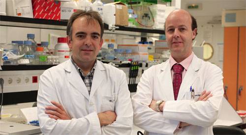Los doctores Felipe Prósper y Xabier Agirre Imagen de los doctores Felipe Prósper y Xabier Agirre