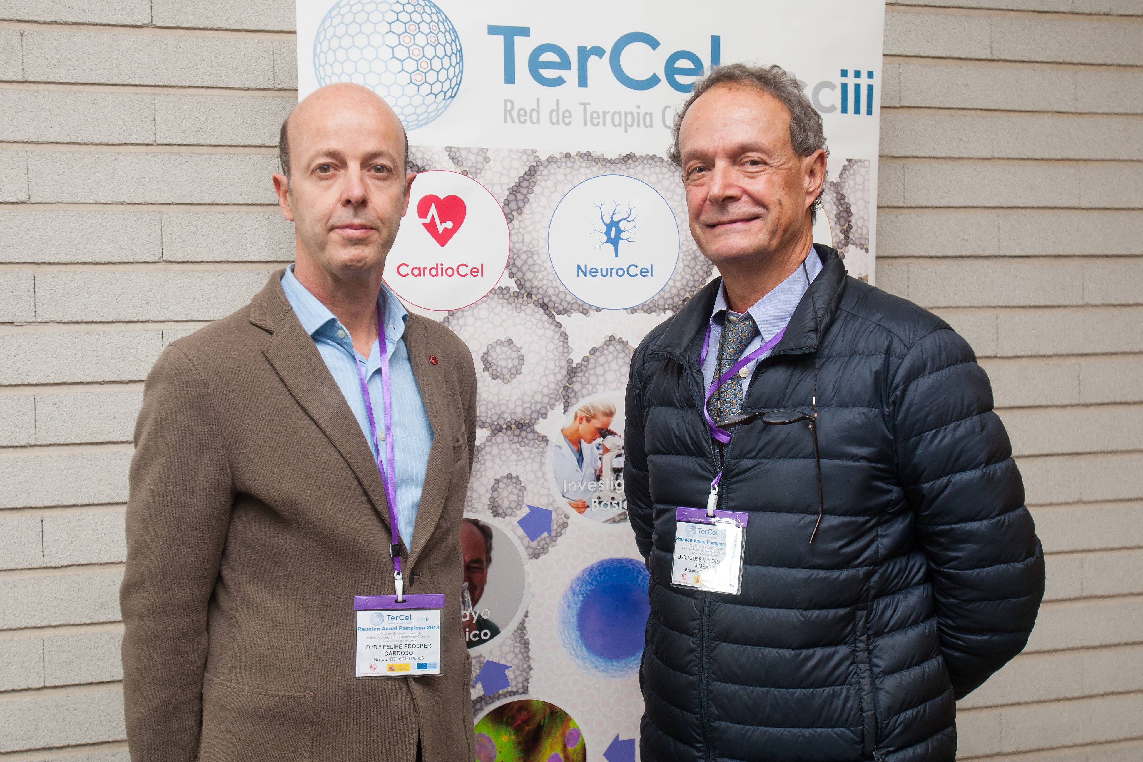 reunion-red-terapia-celular-doctor-prosper Imagen del Dr. Prosper, director del Área de Terapia Celular de la Clínica Universidad de Navarra, junto a José María Moraleda de TerCel.