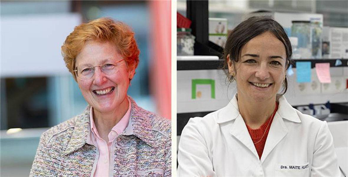 Dra. Gemma Frübeck y la Dra. Maite Huarte La Dra. Gemma Frübeck, directora del Laboratorio de Investigación Metabólica y codirectora del Área de Obesidad, y la Dra. Maite Huarte, directora de la División de Medicina de ADN y ARN del Cima, ambas de la Clínica Universidad de Navarra.