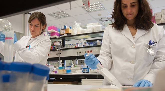 Laboratorio de Inmunología. Investigación. Clínica Universidad de Navarra Imagen de laboratorio de Inmunologia. CIMA. Investigación de la Clínica Universidad de Navarra