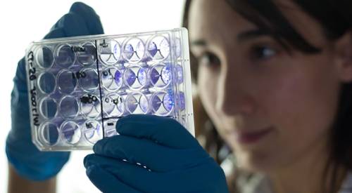 modelo-preclinico-ensayo-inmunoterapia Investigación en la Clínica Universidad de Navarra
