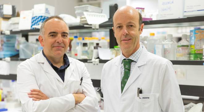 nature-prosper-cancer-vejiga Imagen de los Dres. Xabier Aguirre y Felipe Prósper, investigadores del Cima y la Clínica Universidad de Navarra, que han publicado en Nature.
