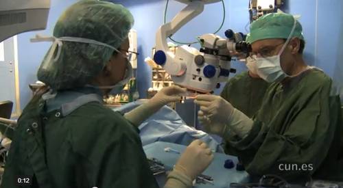 Trasplante de células madre corneales para recuperar la visión Trasplante de células madre corneales para recuperar la visión. La regeneración de epitelio corneal mediante el tratamiento con células madre adulta obtenidas del limbo es un procedimiento que se lleva realizando en la Clínica Universidad de Navarra desde hace 8 años. Consiste en trasplantar al ojo afectado células limbares cultivadas sobre membrana amniótica procedentes de tejido de limbo sano del propio paciente.