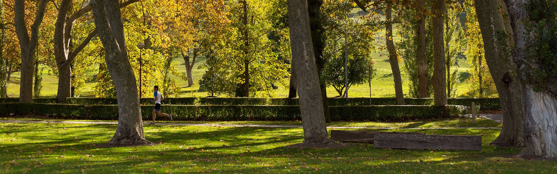 Campus Pamplona. Universidad de Navarra