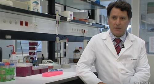 Imagen del doctor Ignacio Melero, oncólogo de la Clínica Universidad de Navarra El doctor Melero explica cómo la inmunoterapia es eficaz en el tratamiento del cáncer