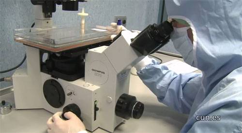 Profesional al microscopio. CUN