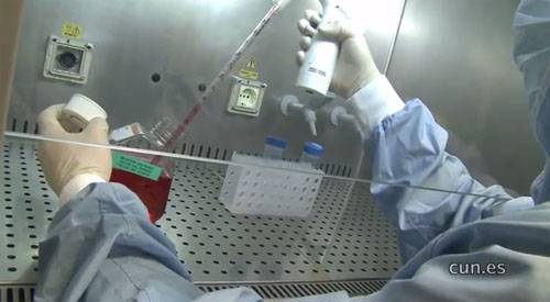 Elaboración de vacuna para tumores sólidos en laboratorio. CUN