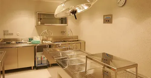 autopsia-clinica Imagen de la Sala de autopsias. Clínica Universidad de Navarra