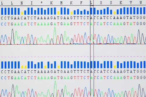 test-genetico-medicina-genomica