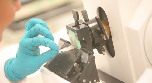 anatomia-patologica-facultad-medicina <p>Técnico del Laboratorio de Anatomía Patológica de la Clínica Universidad de Navarra </p>