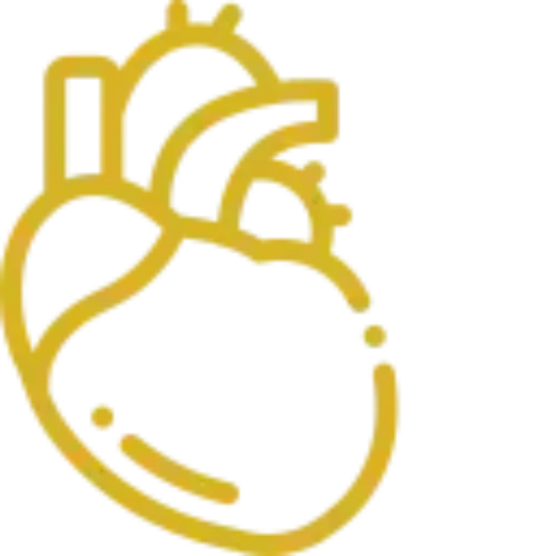 Icono dorado de un corazón y los vasos sanguíneos principales, órgano del sistema cardiovascular.
