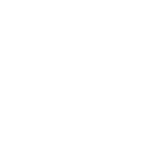 icono-blanco-cerebro