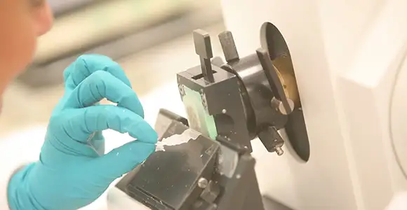 histotecnia Imagen de Histotecnia. Anatomía patológica. Clínica Universidad de Navarra
