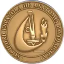 Logo de la Sociedad Espa&ntilde;ola de Anatom&iacute;a Patol&oacute;gica