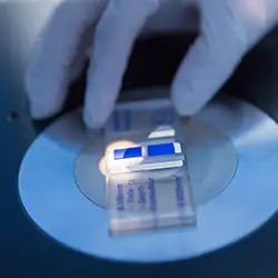 img-destacado-laboratorio-gmp