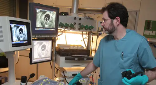 endoscopia-digestiva <p>Realización endoscopia digestiva</p>