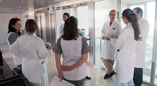 equipo-trabajo-multidisciplinar