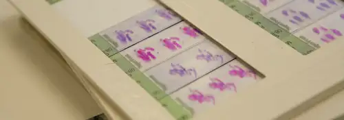 ensayos_farmacia <p>Imagen Ensayos Clínicos en Farmacia </p>
