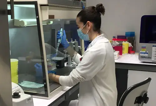 Investigación en Inmunología. Clínica Universidad de Navarra