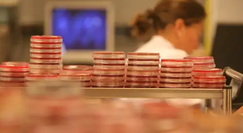laboratorio_microbiologia <p>Imagen laboratorio de microbiología </p>