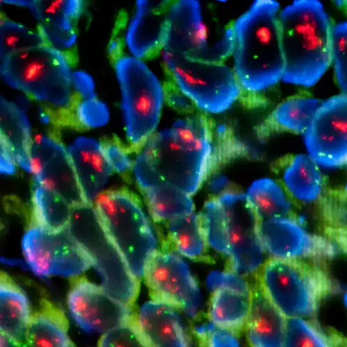 img-destacado-biologia-molecular