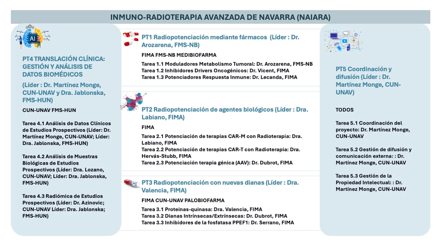 Imagen del esquema las tareas del proyecto NAIARA, Inmuno-radioterapia avanzada en Navarra. Clínica Universidad de Navarra