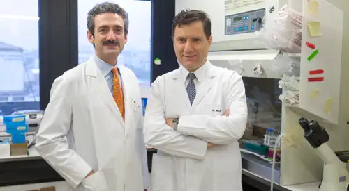 Imagen nota de prensa dres sangro y melero Los doctores Bruno Sangro, director de la Unidad de Hepatología de la Clínica Universidad de Navarra, e Ignacio Melero, inmuno-oncólogo de la Clínica y director del Laboratorio Inmunología del Centro de Investigación Médica Aplicada (CIMA) de la Universidad de Navarra.