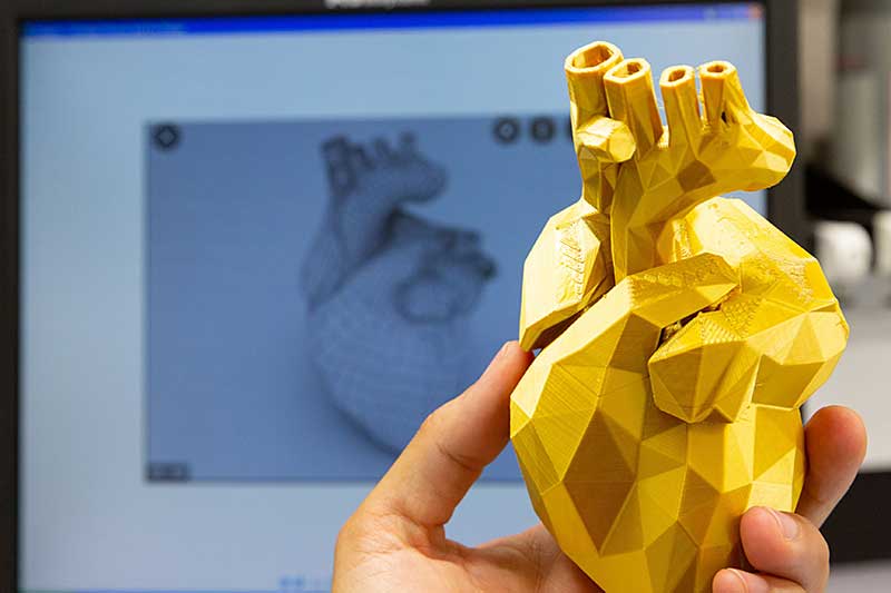 Imagen de un corazón creado con Cardioprint