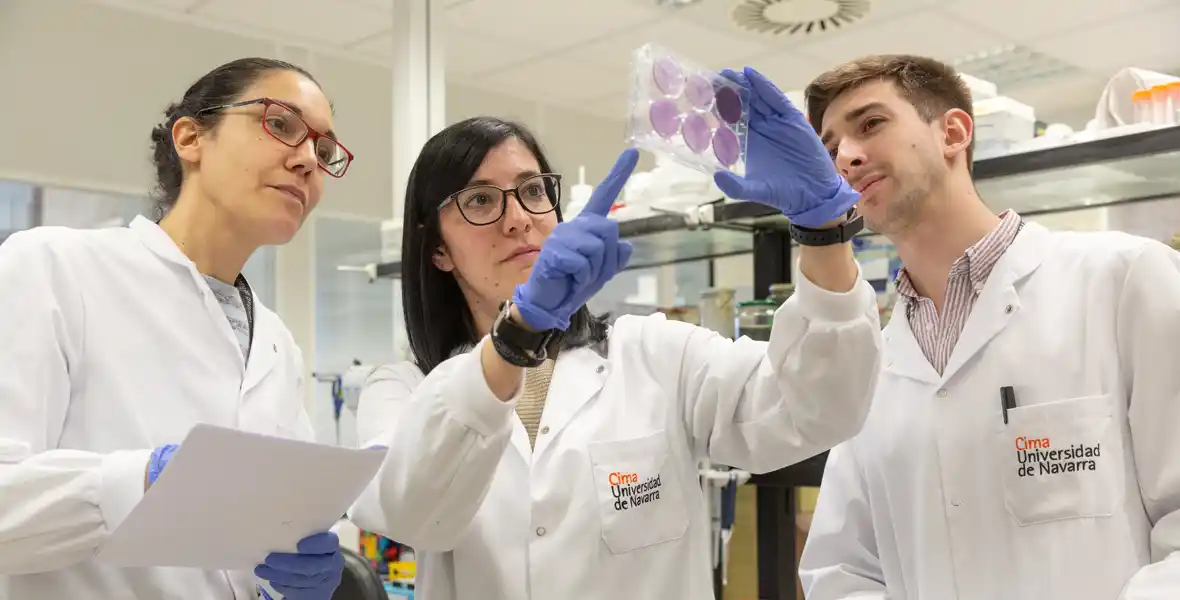 Imagen de investigadores del Cancer Center Clínica Universidad de Navarra que estudian nuevas vías para el tratamiento contra el cáncer.
