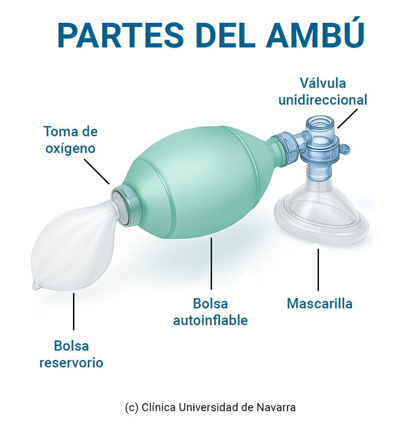 Infografía de las partes de un ambú