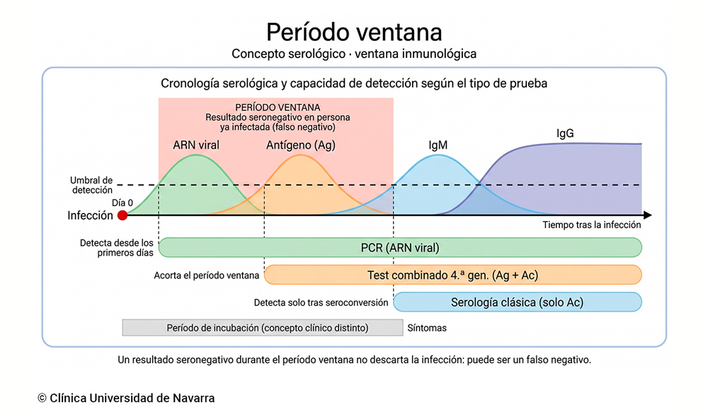 Esquema del período ventana serológico con la cronología de aparición secuencial de ARN viral, antígeno y anticuerpos IgM e IgG tras una infección, integrada con barras comparativas que muestran cómo la PCR, el test combinado de cuarta generación y la serología clásica detectan la infección en momentos progresivamente más tardíos, diferenciando además el período ventana del período de incubación.